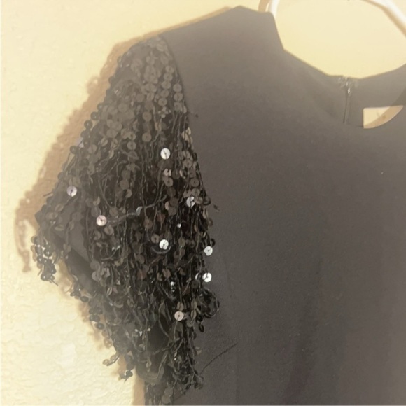 Kate Spade New York Black Sequin Fringe Swing Dress
SZ 8 - Picture 3 of 10